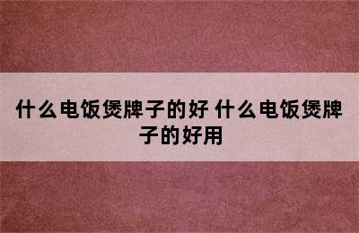 什么电饭煲牌子的好 什么电饭煲牌子的好用